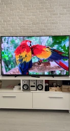 Телевизор Philips MiniLED 65" 65PML8709/12 фото от покупателей 3