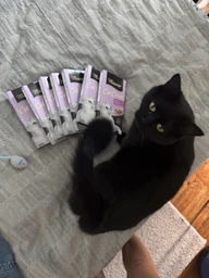 Ласощі для котів Miamor Cat Snack Malt Cream & Cheese 6 стіків по 15 грам