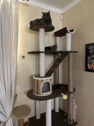 Стильная когтеточка с домиком игровой комплекс для кошек, котов всех пород 190х80х60см серо бежевая фото от покупателей 4