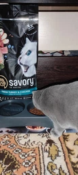 Сухой корм для котят Savory со свежим мясом индейки и курицы 2 кг фото от покупателей 2