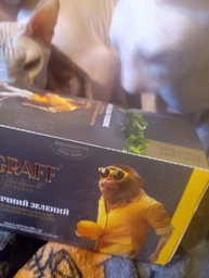 Чай Graff Tropicana Verde Зелений 20 пірамідок по 1.8 г (4820279611112)