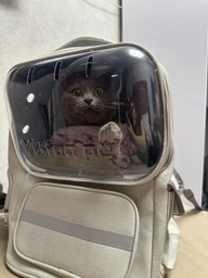 Рюкзак переноска для кота кошки котенка маленьких собак до 8 кг прозрачный зеленый (002279) фото от покупателей 8