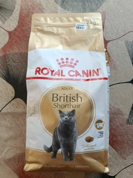 Сухой корм для кошек Royal Canin British Shorthair 400 г (Британская короткошерстная) фото от покупателей 6