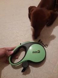Рулетка-поводок AnimAll с диспенсером XL до 50 кг/8 метров MS7016-B (Х/12/Х) Зеленая (2000981277963)