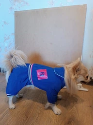 Дощовик для собак Pet Fashion «SILVER» XS-2 фото от покупателей 1