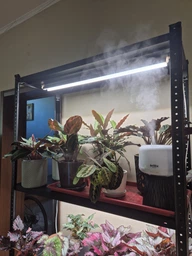Увлажнитель воздуха Brillix AromaGlow 480X ультразвуковой ночник аромадиффузор для дома ароматический дифузор 480 мл с led подсветкой на 6 цветов и пультом аромадиффузоры увлажнители арома диффузоры фото от покупателей 11