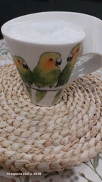 Кружка NWC Аратинга 0,3 л NewWave Caffè Braunwangensittich Villeroy&Boch 1041569100