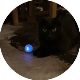 Умный мячик PetGravity для кота или мини-собаки, сам катится (голубой) фото от покупателей 9