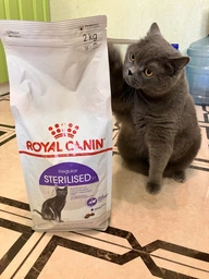 Сухой корм Royal Canin Sterilised 37 - для кастрированных кошек и стерилизованных кошек, 4 кг (2537040) фото от покупателей 9