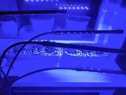 Фитолампа USB для роста растений на 3 лампы, светодиодная LED фито лампа на прищепке светильник для комнатных цветов, рассады, орхидей фото от покупателей 1