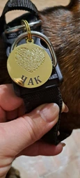 Адресник для Собак BronzeDog из Латуни с Позолотой Сердце Золотистый 32 мм (95043)