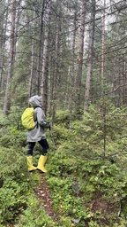 Чохол для рюкзака Raincover 35л накидка на рюкзак Сріблястий фото від покупців 6