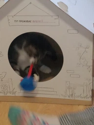 Домик для собак и кошек Lucky Pet ЭКО Домик "Уикенд" 45x45x45 см Белый (4820224213231) фото от покупателей 13