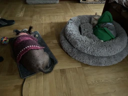 Килимок з підігрівом Теплик 50x30 см бежевий Стандарт (з термоізоляцією) фото від покупців 2