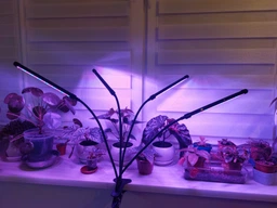 Фітолампа на 4 лампи світлодіодна LED для росту рослин на прищіпці фітосвітильник для кімнатних квітів, розсади, орхідей фіто лампа