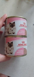 Влажный корм Royal Canin BABYCAT INSTINCTIVE Cans для кошек в период лактации и новорожденных котят (Паштет) 195 г (9003579311660)