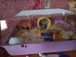 Клітка для гризунів Ferplast Mini Duna Hamster 55 x 39 x 27 см