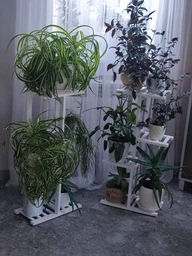 Подставка для цветов и вазонов, опора для цветов на пол или подоконник 80*40*20 фото от покупателей 5