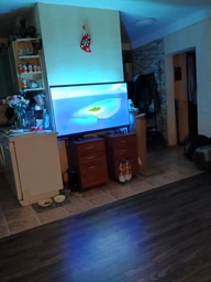 Телевизор Philips 43" 43PUS8010/12 фото от покупателей 2