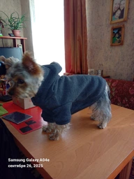 Худи для собак Barksi Textile S Графит (2007033055951)