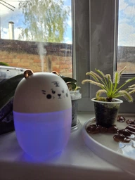 Зволожувач повітря Happy Life HP-BH-17201W Bear USB Humidifier 220ml White