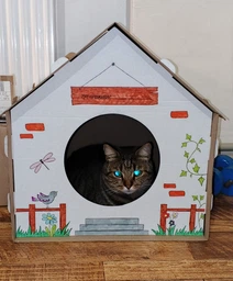 Домик для собак и кошек Lucky Pet ЭКО Домик "Уикенд" 45x45x45 см Белый (4820224213231) фото от покупателей 11