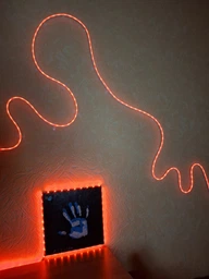 Неоновая гибкая лента умная светодиодная подсветка LED RGB 5м Smart гибкий неон с Bluetooth USB и синхронизацией музыки гирлянда IP67 фото от покупателей 17