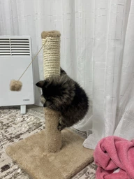 Дряпка для котів Lucky Pet ДКП сизаль сіра міні, хутро біле 30x30x51см фото від покупців 1