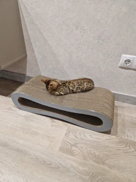 Кігтеточка для кішок картонна CLAW-A2сс 65x14x25+Подарунок іграшка для кота миша фото від покупців 2
