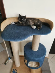 Кошачья когтеточка лазалка в домик с лежанкой для кошек кото 90х60х40см молочно бордовая фото от покупателей 1