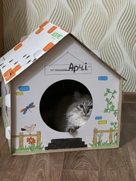 Домик для собак и кошек Lucky Pet ЭКО Домик "Уикенд" 45x45x45 см Белый (4820224213231) фото от покупателей 4