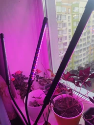 Фитолампа USB для роста растений на 3 лампы, светодиодная LED фито лампа на прищепке светильник для комнатных цветов и рассады фото от покупателей 16
