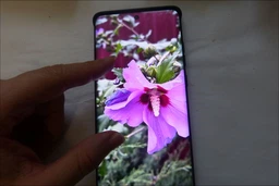 Мобильный телефон Motorola Edge 60 12/256GB Shamrock (1165854) фото от покупателей 18