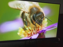 Монітор 23,8" Xiaomi Monitor A24i (ELA5444EU) фото від покупців 4