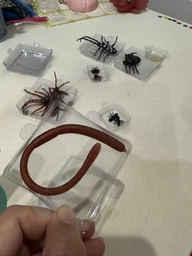 Археологический набор для раскопок Natural Exploration насекомые