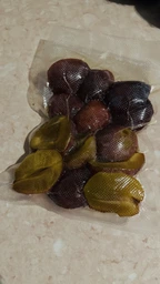 Вакууматор для продуктів із вбудованим різаком вакуумний пакувальник для сухих вологих продуктів та пакування їжі м'яса риби овочів домашній 6 режимів + пакети