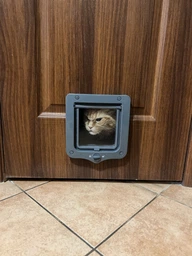 Двері для котів Trixie двосторонні 20 х 22 cм Сірі (4011905442020) фото від покупців 3