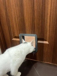 Двері для котів Trixie двосторонні 20 х 22 cм Сірі (4011905442020) фото від покупців 2