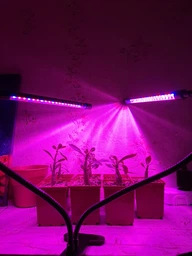 Светодиодная настольная фитолампа 2 LED светильника на управлении со сменой цвета и таймером