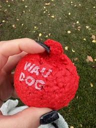 Игрушка для собак WAUDOG Fun Red Ball термопластичный полиуретан 70 мм (25881232)