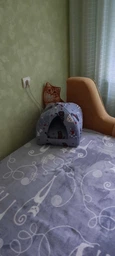 М'який будиночок для домашніх тварин собак та котів з котиками 50х50 см Incor Сірий фото від покупців 19