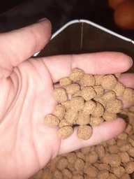 Сухой корм Royal Canin Gastrointestinal Low Fat Dog диетический для собак при расстройствах пищеварения 3кг фото от покупателей 2