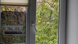 Кормушка для птиц на окно House_for_birds "Тераса"