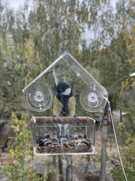Кормушка для птиц на окно House_for_birds "Теремок" фото от покупателей 3