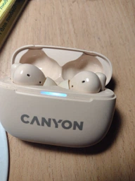 Навушники Canyon TWS-10 OnGo ANC ENC Beige (CNS-TWS10BG) фото від покупців 1