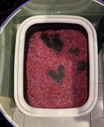 Соєвий наповнювач для котячого туалету Soffi-Cat Tofu з ароматом лаванди, 6 л 2,6 кг фото від покупців 3