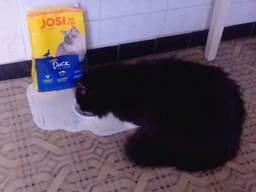 Сухой корм Josera JosiCat Crispy Duck Изысканный корм для кошек с аппетитным мясом утки 10 кг