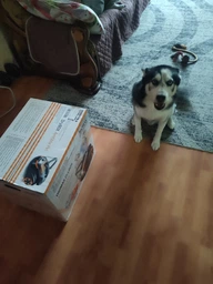 Моющий пылесос с аквафильтром THOMAS DRYBOX AMFIBIA PET фото от покупателей 10