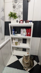 Этажерка 54*18*91 см VIOLET HOUSE (6014 Long Shelf GREY)