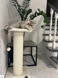 Дряпка Lucky Pet сезаль "Прана Максі", білий, 38х38х77 см фото от покупателей 2